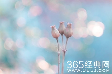 14条句句入心的经典语录 你看了吗