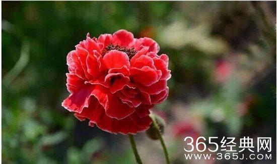 人生感悟：10句话让你看透生活明白爱情