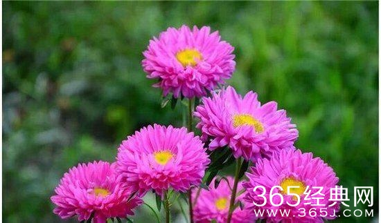 人生感悟：10句话让你看透生活明白爱情