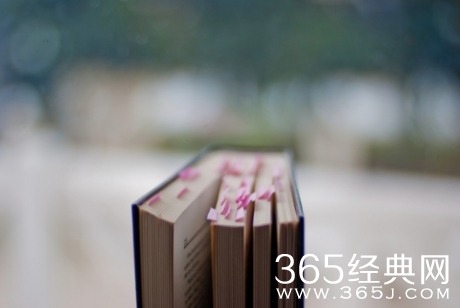 14条句句入心的经典语录 你看了吗