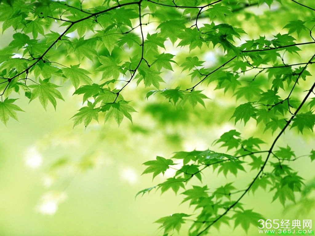 经典美文：生活是什么