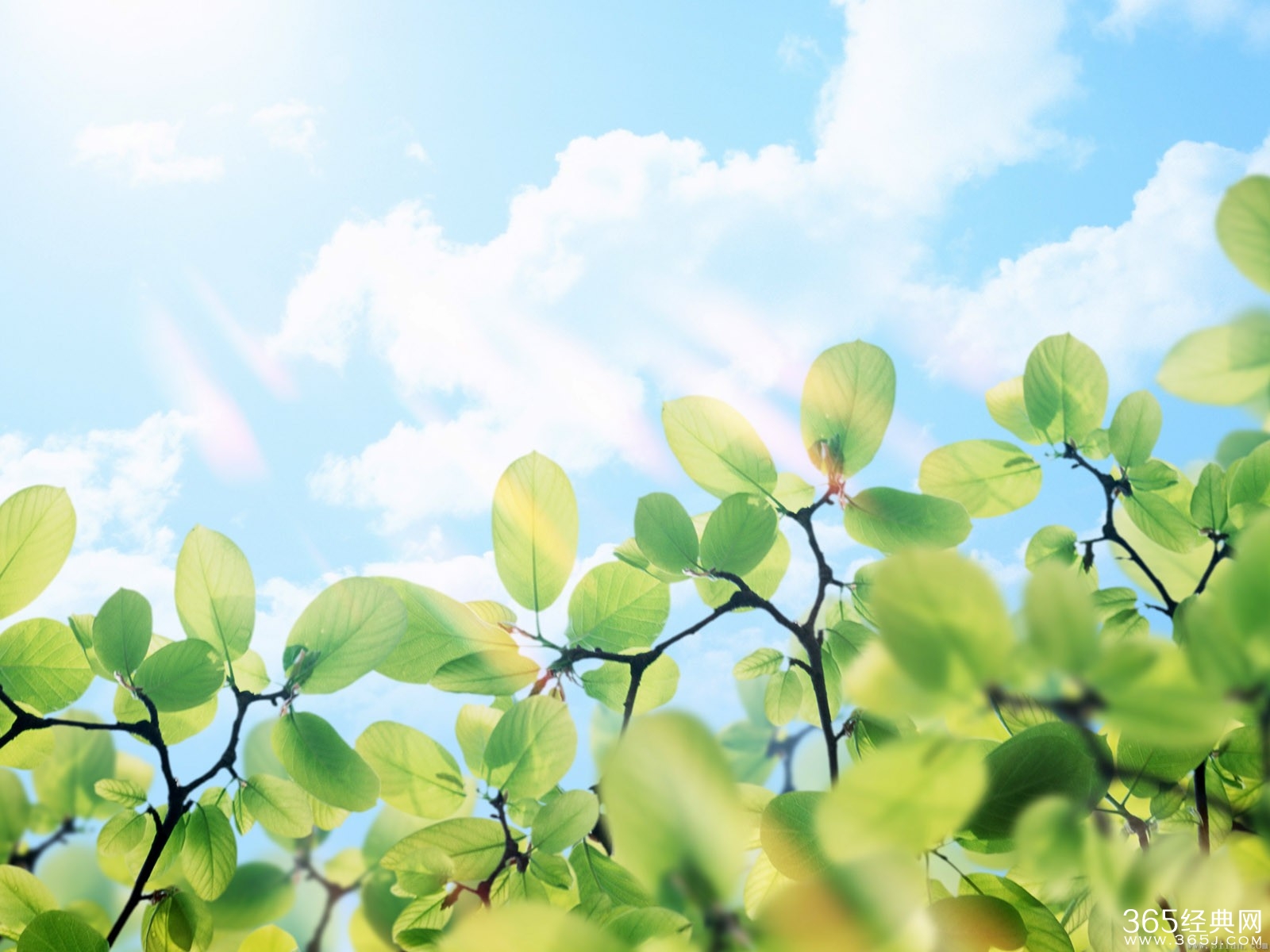 经典美文：生活是什么