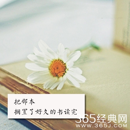 岁末祝福：回忆即将过去的2014