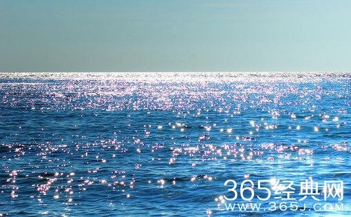 做一个最单纯的人，走一段最幸福的路