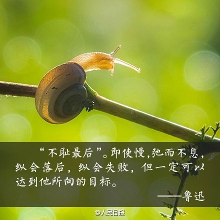 2015年，给自己9个努力的理由