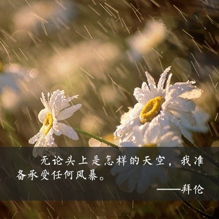 2015年，给自己9个努力的理由