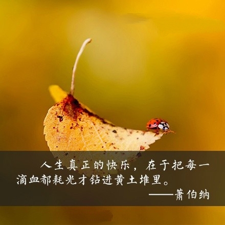 2015年，给自己9个努力的理由