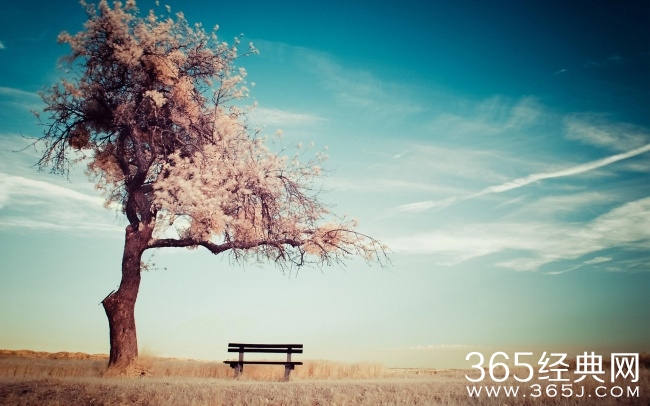 2015年最全有关爱情人生个性签名