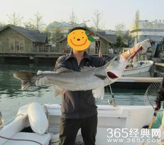 一个武汉人对自己的年终总结