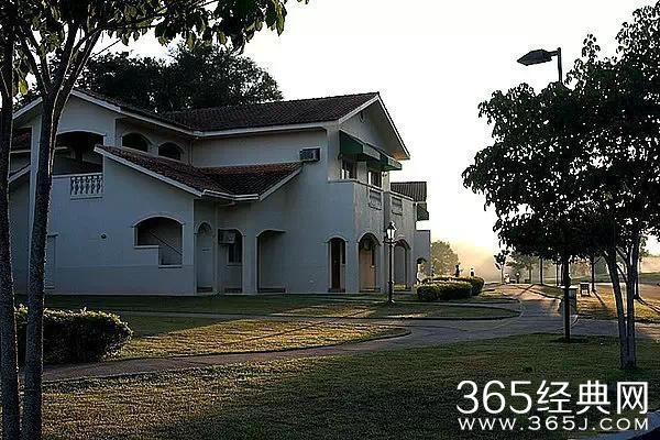 一个武汉人对自己的年终总结