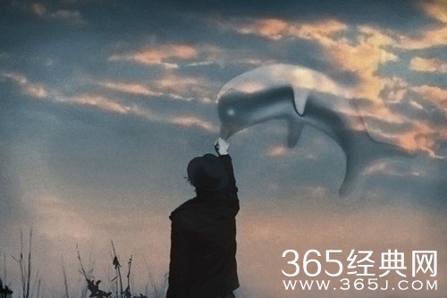 美丽的彩虹竟是受了挫折的阳光图片