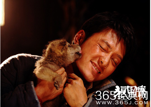 电影《狼图腾》精彩预告