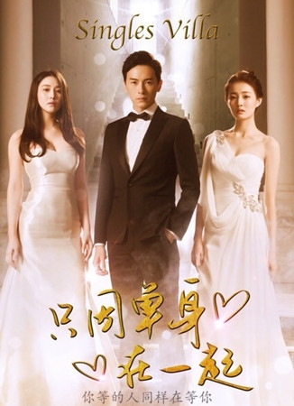 只因单身在一起(1-30集)剧情介绍图片