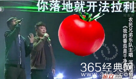 新神曲《我的番茄是干净的》爆红网络