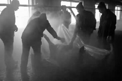 年猪新杀法：铲车杀年猪