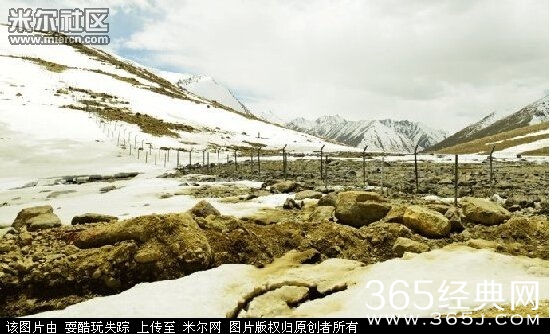 金正恩眉毛少了一半  哪去了