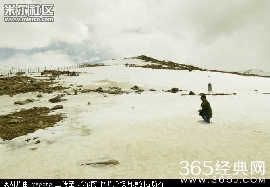 金正恩眉毛少了一半  哪去了