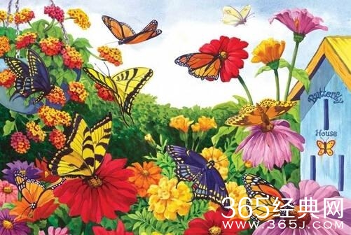 7句经典语录，致亲爱的你