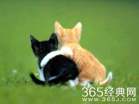 测试你性格软肋