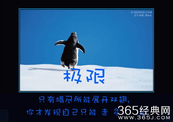 十大人生无节操真相 秒毁正能量