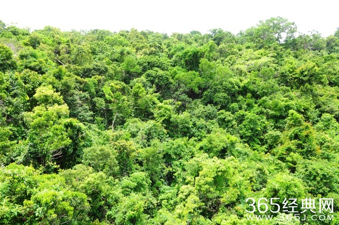 冬季旅游胜地三亚