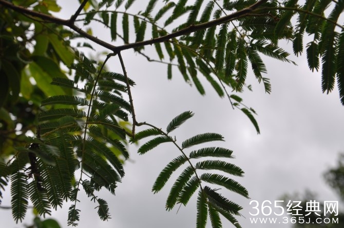 冬季旅游胜地三亚