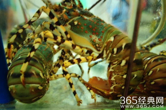 冬季旅游胜地三亚