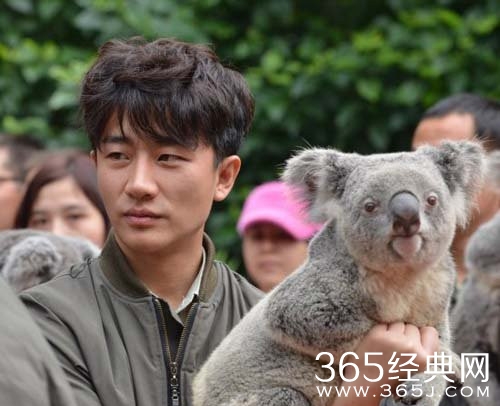 湖南卫视《奇妙的朋友》什么时候播出以及嘉宾介绍图片