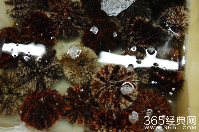 冬季旅游胜地三亚