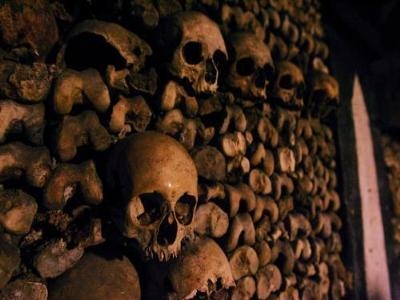 电视剧《鬼吹灯》男一号人选