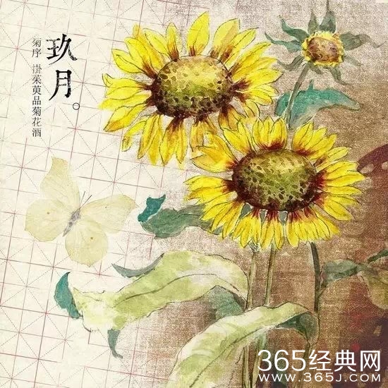 12句经典语录：就算人生短暂，也要活得漂亮