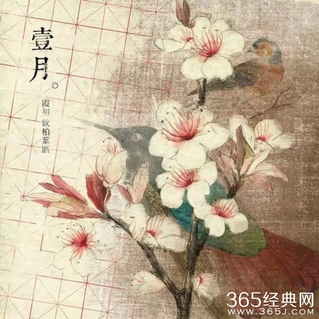 12句经典语录：就算人生短暂，也要活得漂亮