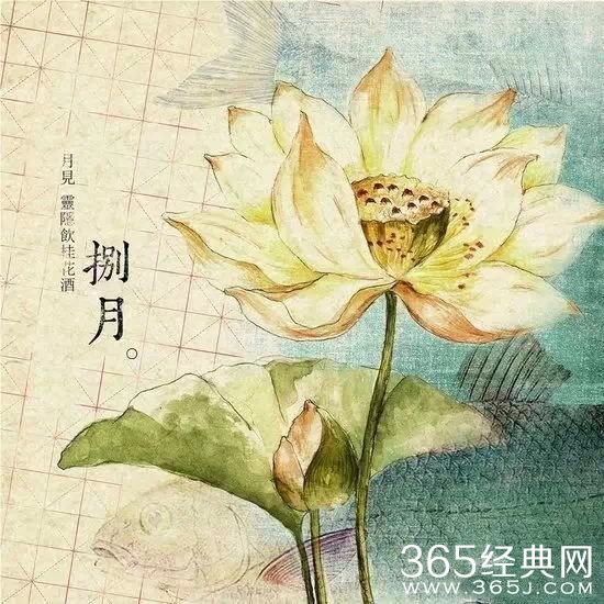 12句经典语录：就算人生短暂，也要活得漂亮