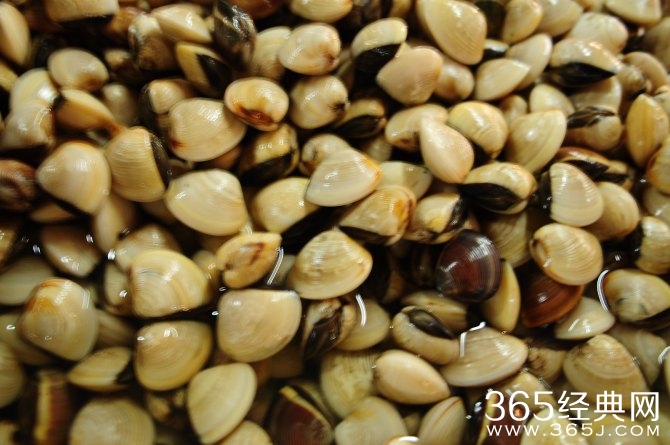 冬季旅游胜地三亚