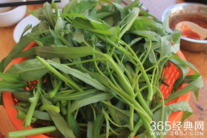 冬季旅游胜地三亚