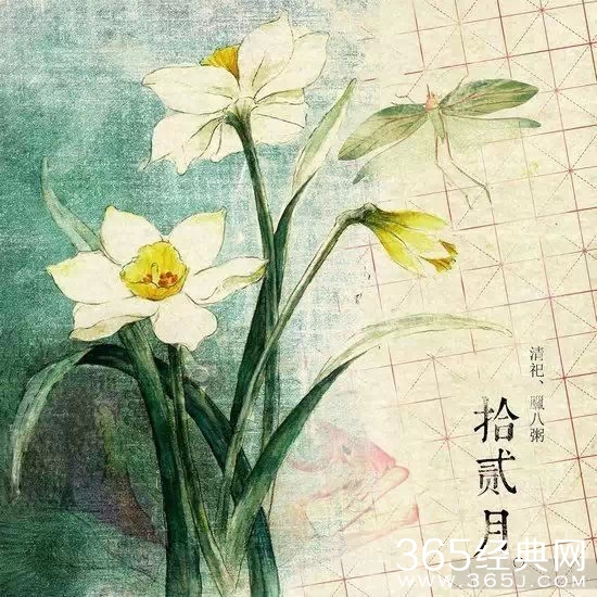 12句经典语录：就算人生短暂，也要活得漂亮