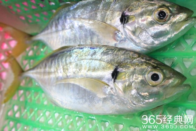 冬季旅游胜地三亚