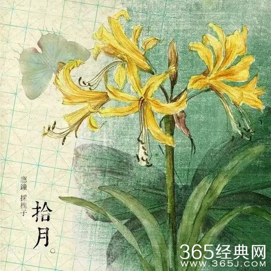 12句经典语录：就算人生短暂，也要活得漂亮