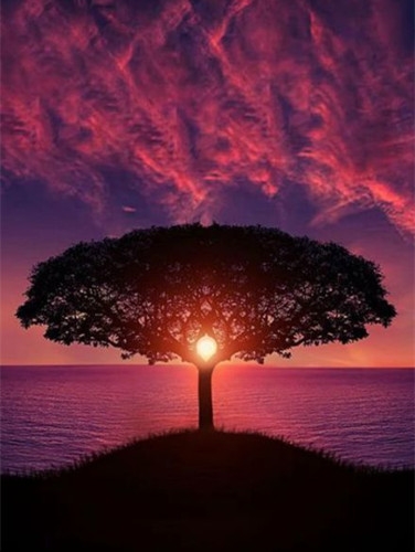 机会降临在时刻准备的人身上图片