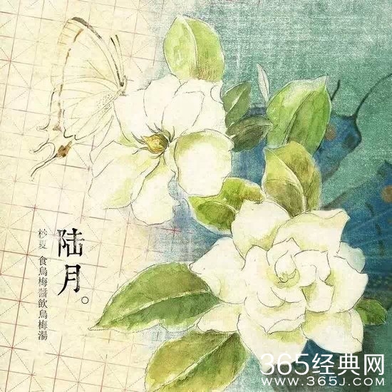 12句经典语录：就算人生短暂，也要活得漂亮