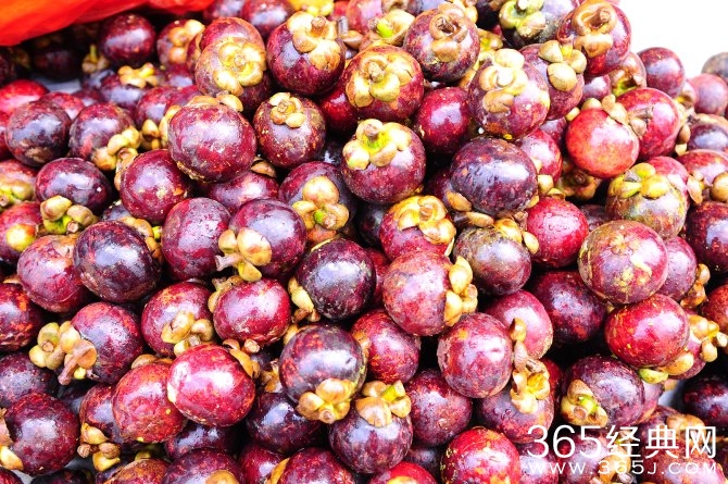 冬季旅游胜地三亚