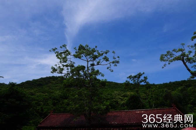 冬季旅游胜地三亚