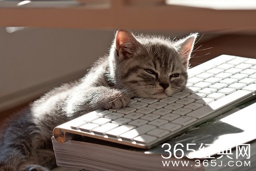 别给自己的懒惰找借口