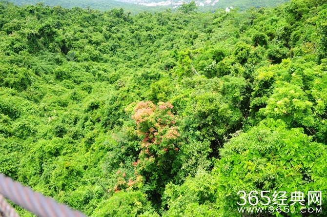 冬季旅游胜地三亚