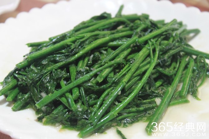 冬季旅游胜地三亚