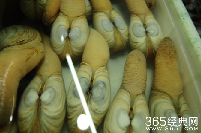 冬季旅游胜地三亚