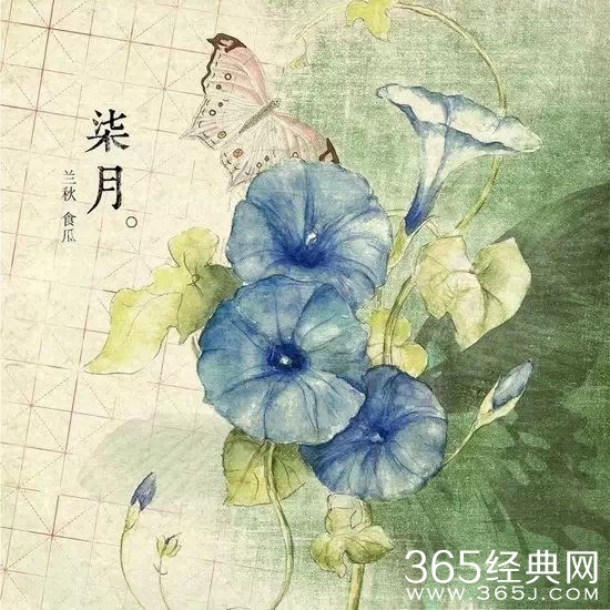 12句经典语录：就算人生短暂，也要活得漂亮