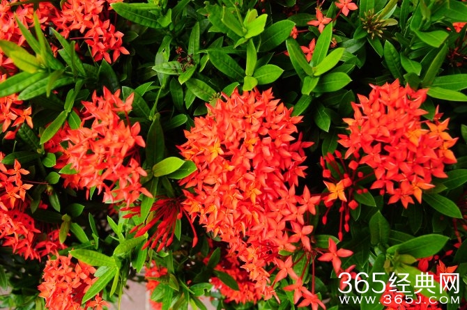 冬季旅游胜地三亚