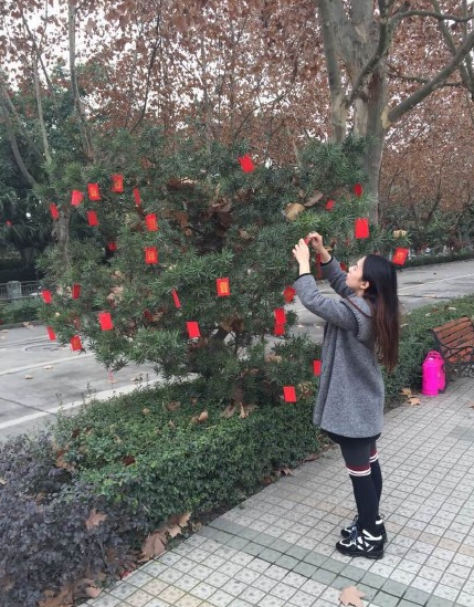 四川一高校校内树上挂上万个红包任人摸