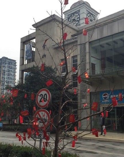 四川一高校校内树上挂上万个红包任人摸